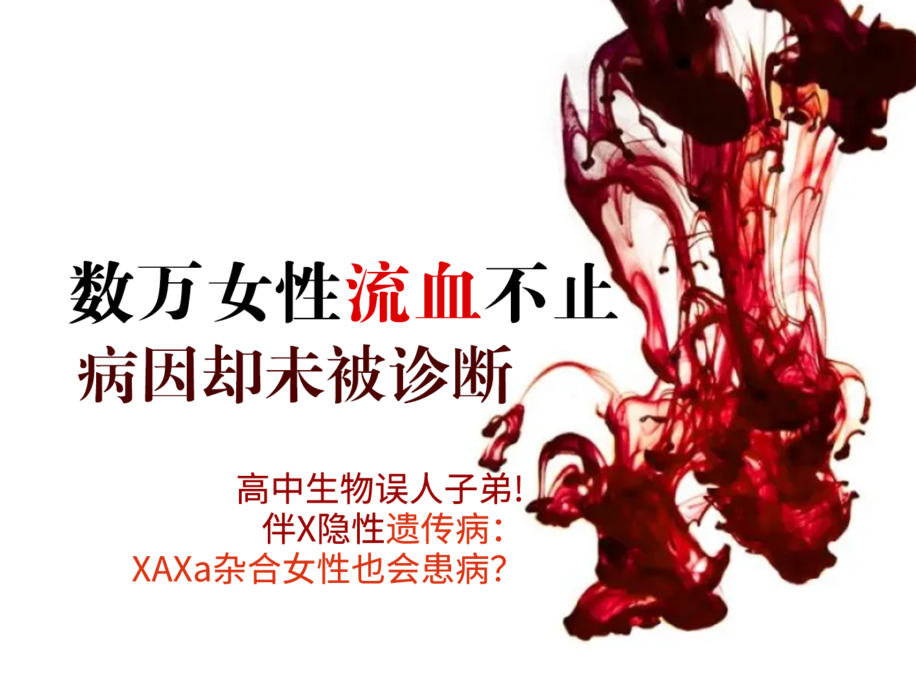 活动照片4